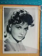 Kov 17-32 - Famous People, Des Personnes Célèbres, Gina Lollobrigida PHOTO - Ecrivains