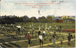 The Boys Gardens, One Of The Educational Features Of The National Cash Register Works, Dayton, Ohio - Dayton