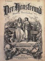 Der Hausfreund. Illustrirtes Volksblatt. X. Jahrgang. 1867. No. 1 Bis No. 48. - Autres & Non Classés