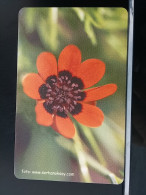 T-268 - TURKEY TELECARD, PHONECARD, FLOWER, FLEUR,  - Turquia