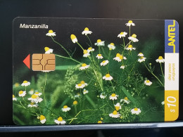 T-271 - URUGUAY TELECARD, PHONECARD, FLOWER, FLEUR, - Uruguay