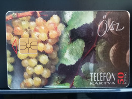 T-272 - HUNGARY, TELECARD, PHONECARD, FLOWER, FLEUR - Hungría