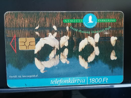 T-272 - HUNGARY, TELECARD, PHONECARD, FLOWER, FLEUR, BIRD, OISEAU - Hungría