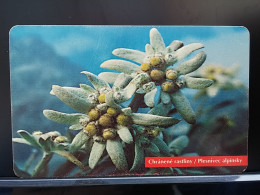 T-272 - SLOVAKIA, TELECARD, PHONECARD, FLOWER, FLEUR, EDELWEISS  - Eslovaquia