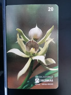 T-273 - BRASIL, BRAZIL, TELECARD, PHONECARD, FLOWER, FLEUR,  - Brésil