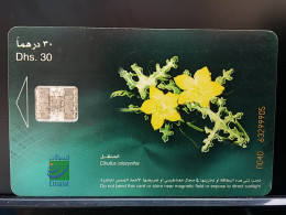 T-273 - UAE, TELECARD, PHONECARD, FLOWER, FLEUR,  - Emirati Arabi Uniti