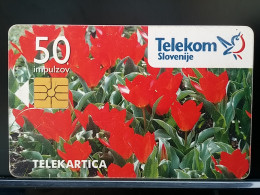 T-274 - SLOVENIA TELECARD, PHONECARD, FLOWER, FLEUR - Slovenia