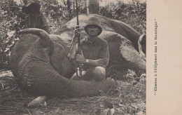 OUBANGUI CHARI / CHASSE A L ELEPHANT SUR LE BAMINGUI / RARE ET TRES BEAU PLAN - Centrafricaine (République)