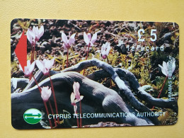 T-277 - CYPRUS TELECARD, PHONECARD, FLOWER, FLEUR,  - Chipre