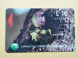 T-277 - CYPRUS TELECARD, PHONECARD, FLOWER, FLEUR,  - Cipro