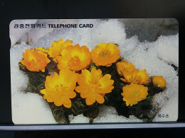T-278 - KOREA, TELECARD, PHONECARD, FLOWER, FLEUR, - Corea Del Sur
