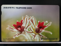 T-279 - KOREA, TELECARD, PHONECARD, FLOWER, FLEUR, - Corea Del Sur