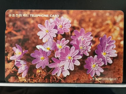 T-279 - KOREA, TELECARD, PHONECARD, FLOWER, FLEUR, - Korea (Süd)