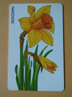 T-282 - GERMANY, TELECARD, PHONECARD, FLOWER, FLEUR,  - Other & Unclassified