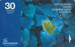 PHONE CARD BIELORUSSIA  (E49.36.1 - Bielorussia