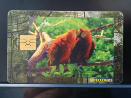 T-289 - CZECH TELECARD, PHONECARD, BIRD, OISEAU, PERROQUET, PARROT, PAPILLON, BUTTERFLY - Czech Republic