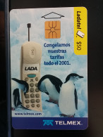 T-289 - MEXICO TELECARD, PHONECARD, PENGUIN, PINGUIN - Messico