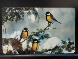 T-289 - SWEDEN TELECARD, PHONECARD, BIRD, OISEAU - Suède