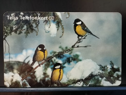 T-289 - SWEDEN TELECARD, PHONECARD, BIRD, OISEAU - Svezia