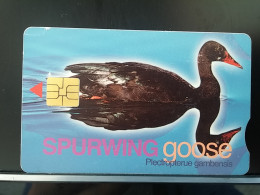 T-290 - SOUTH AFRICA TELECARD, PHONECARD, BIRD, OISEAU, SWAN - Zuid-Afrika