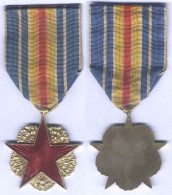 Médaille Des Blessés De Guerre - France