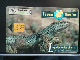 T-298 - SPAIN, ESPANA TELECARD, PHONECARD, Lézard, LIZARD - Otros & Sin Clasificación