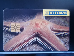 T-300 - CZECH REPUBLIC TELECARD, PHONECARD,  - Tschechische Rep.