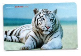 TIGRE Carte Spécimen Démonstration  Card Karte (R 811) - Exhibition Cards