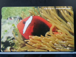 T-304 - KOREA TELECARD, PHONECARD, FISH, POISON - Corea Del Sur