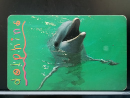 T-305 - SOUTH AFRICA TELECARD, PHONECARD, DOLPHINE, DAUPHINE - Zuid-Afrika