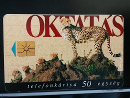 T-306 - HUNGARY TELECARD, PHONECARD, JAGUAR - Hongrie