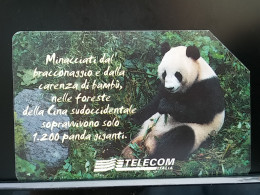 T-307 - ITALIA, ITALY TELECARD, PHONECARD, ANIMAL, BEAR, OURS PANDA - Other & Unclassified
