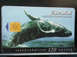 T-308 - HUNGARY TELECARD, PHONECARD, ANIMAL - Hungary