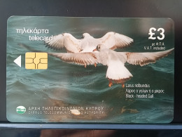 T-312 - CYPRUS TELECARD, PHONECARD, ANIMAL, BIRD, OISEAU, FLAMINGO, FLAMENGO - Cipro