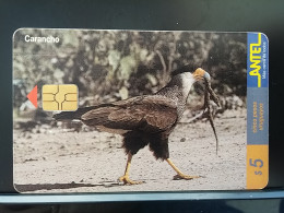 T-314 - URUGUAY TELECARD, PHONECARD, BIRD, OISEAU,  - Uruguay