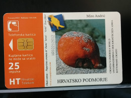 T-322 - CROATIA, TELECARD, PHONECARD,  - Croazia