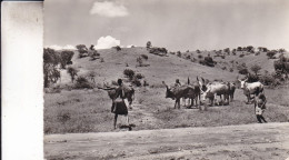 RUANDA URUNDI PAYSAGE CHAMPETRE - Ruanda-Urundi