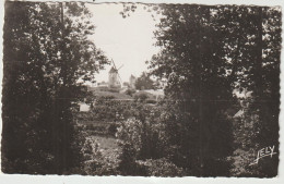 Dav : Vendée : NOIRMOUTIER ; Les Moulins De La  Guérinière à Travers Les  Arbres  1957, Jely - Noirmoutier