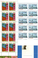 ICELAND. 2001, 2003. Coast Guard 75th Anniversary, Flowers. Bocklets. - Ungebraucht