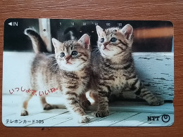 T-361 - JAPAN, Japon, Nipon, TELECARD, PHONECARD, Cat, Chat, NTT 111-028 - Katten