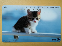 T-361 - JAPAN, Japon, Nipon, TELECARD, PHONECARD, Cat, Chat, NTT 111-037 - Chats