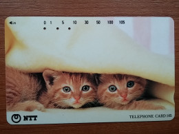 T-361 - JAPAN, Japon, Nipon, TELECARD, PHONECARD, Cat, Chat, NTT 111-076 - Cats