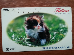 T-361 - JAPAN, Japon, Nipon, TELECARD, PHONECARD, Cat, Chat, NTT 250-357 - Katten