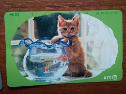 T-361 - JAPAN, Japon, Nipon, TELECARD, PHONECARD, Cat, Chat, NTT 331-196 - Katzen