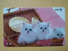 T-370 - JAPAN, Japon, Nipon, TELECARD, PHONECARD, Cat, Chat, NTT 330-178 - Gatti