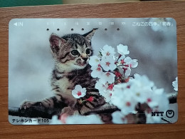 T-371 - JAPAN, Japon, Nipon, TELECARD, PHONECARD, Cat, Chat, NTT 111-013 - Cats