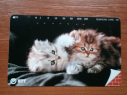 T-371 - JAPAN, Japon, Nipon, TELECARD, PHONECARD, Cat, Chat, NTT 231-247 - Cats