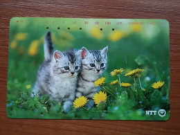 T-371 - JAPAN, Japon, Nipon, TELECARD, PHONECARD, Cat, Chat, NTT 231-393 - Gatti