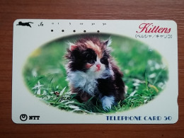 T-372 - JAPAN, Japon, Nipon, TELECARD, PHONECARD, Cat, Chat, NTT 250-357 - Katten