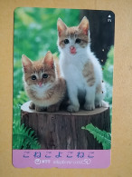 T-372 - JAPAN, Japon, Nipon, TELECARD, PHONECARD, Cat, Chat, NTT 270-299 - Katten